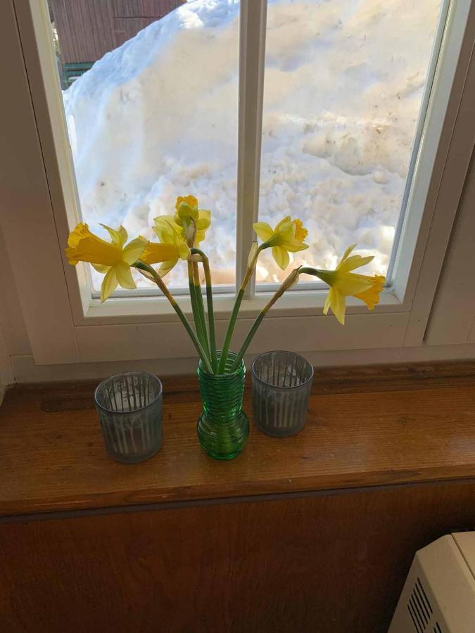Berghaus Carlsfeld Villa Eibenstock Eksteriør billede