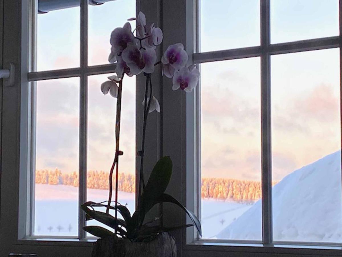 Berghaus Carlsfeld Villa Eibenstock Eksteriør billede
