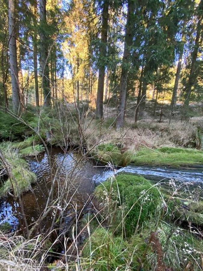 Berghaus Carlsfeld Villa Eibenstock Eksteriør billede