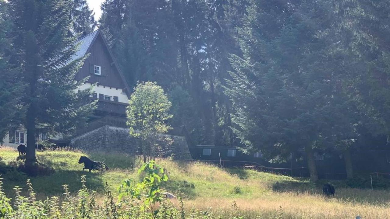 Berghaus Carlsfeld Villa Eibenstock Eksteriør billede